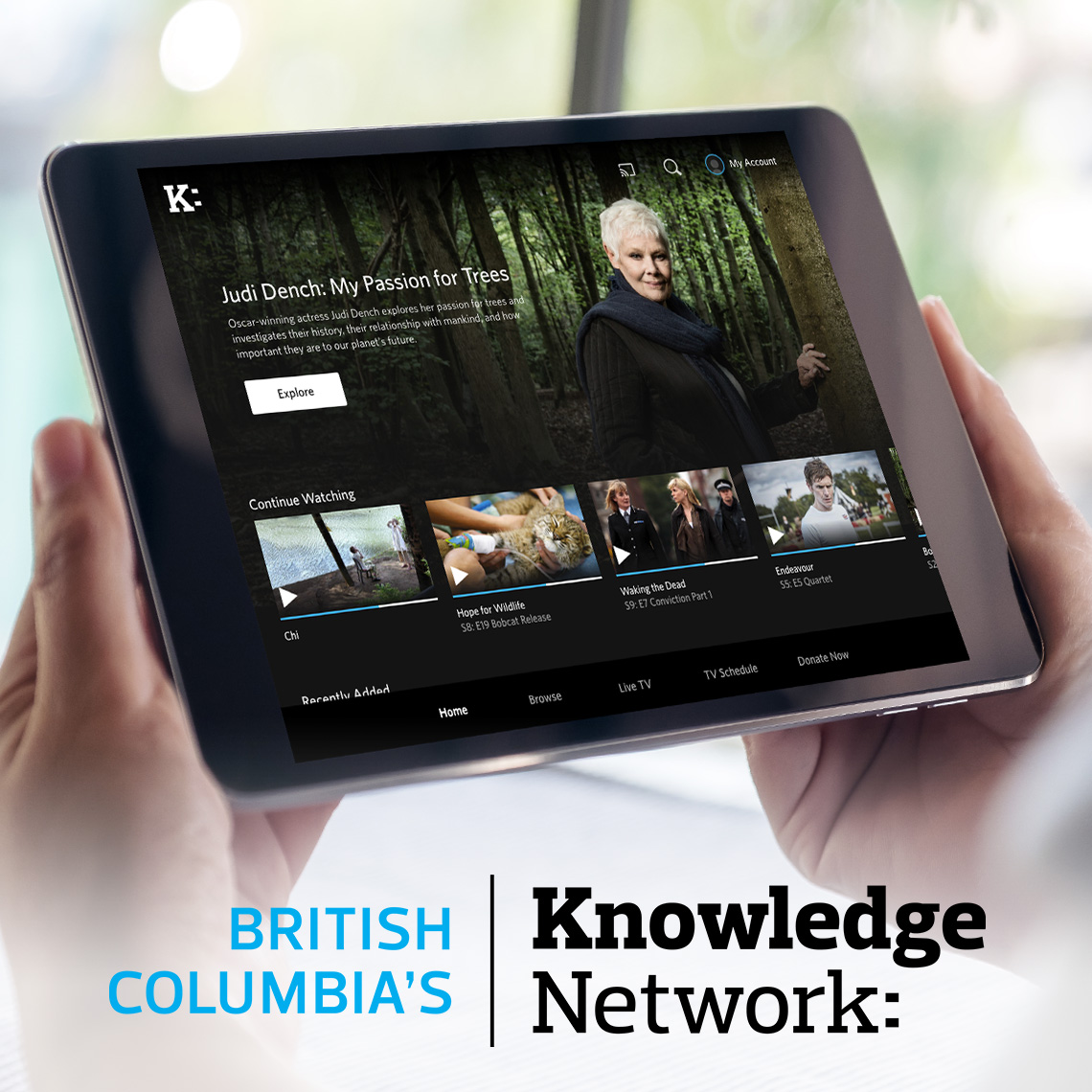 Knowledge Network Streaming Service